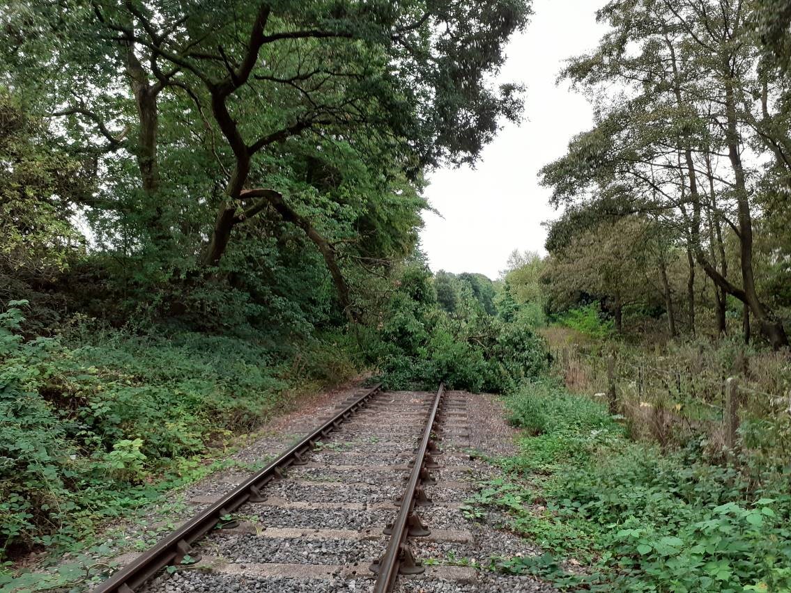 ADRC95223 at Rowsley